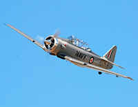 Click here for the -6 Texan gallery